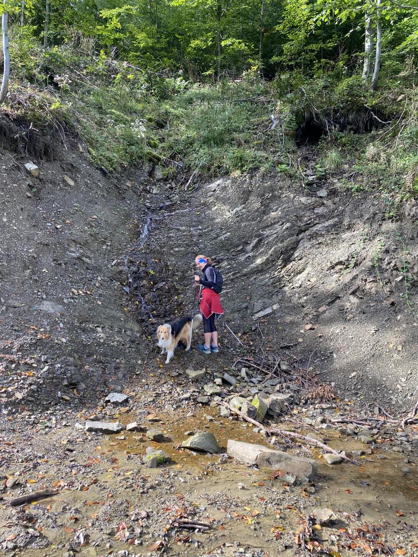 Ewa Kowalska-Gaździcka